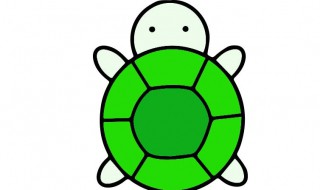 圆奥龟苗饲养方法 圆奥龟苗饲养方法介绍