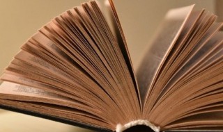 玄武门之变指的是什么（玄武门之变指的是什么生肖）