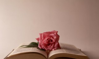 恨不相逢未嫁时什么意思 恨不相逢未嫁时指的是什么意思