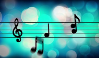 我听过你的歌歌词 我听过你的歌歌词杨钰莹