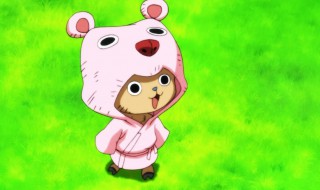 乔巴的原型 上海乔巴的原型