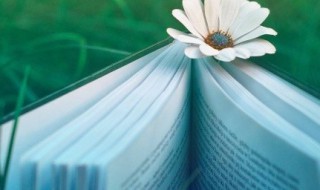 狡兔三窟的意思是什么 狡兔三窟的意思是什么?