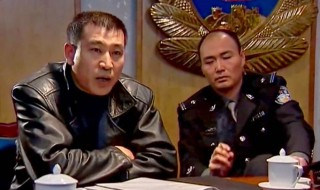 黑冰电视剧演员表(黑冰电视剧演员表的刘梅是谁主演的)