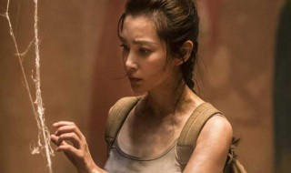 谜巢演员表（谜巢女主角是谁）