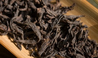 马头岩肉桂属于什么茶（武夷山马头岩肉桂属于什么茶）