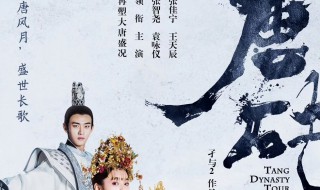 唐砖的演员有哪些（唐砖的演员有谁）