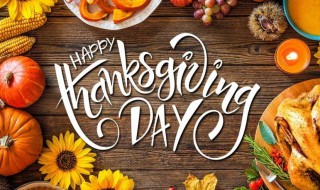 感恩节火鸡代表什么 感恩节火鸡代表什么动物