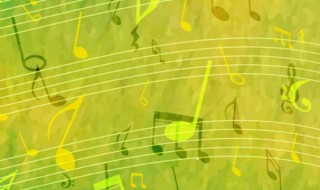 愿得一心人歌词（周深愿得一心人歌词）