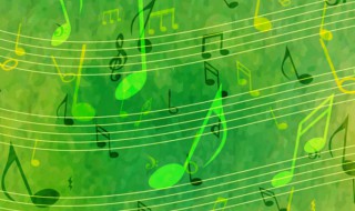 十一种孤独歌词(十一种孤独歌词解析)