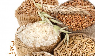 袁隆平的梦想是什么 袁隆平的梦想是什么300字