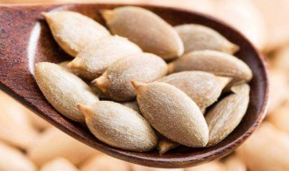 吃南瓜子好吗 吃南瓜子好不好