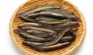 男人平时吃什么壮阳 可以壮阳的食物