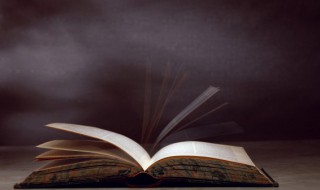 我想静静歌词 秋裤大叔我想静静歌词