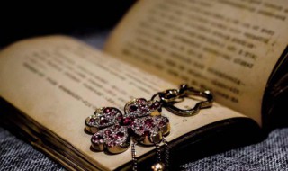 珠围翠绕是什么意思（翠珠绕）