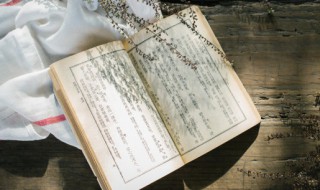 蒹葭苍苍的苍苍是什么意思 蒹葭苍苍的苍苍是何意思