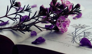 长工是什么意思（地主家的长工是什么意思）