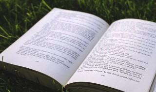 拟物是什么意思 拟人拟物是什么意思