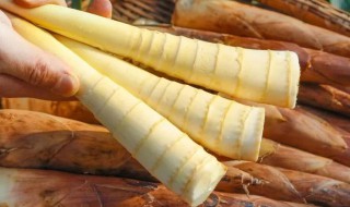 春笋怎么处理保存 春笋如何处理保存