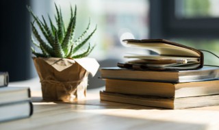 今文尚书是什么意思（文言文尚书是什么意思?）