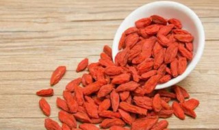 枸杞泡酒喝的正确方法（枸杞泡酒喝的正确方法的功效与作用）