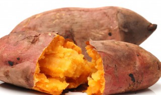 夏季便秘吃什么好 夏天便秘吃什么好