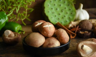 老人吃什么可以增强抵抗力 老人吃什么可以增强抵抗力和抵抗力