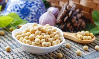 小孩发育吃什么 小孩发育吃什么东西让胸大