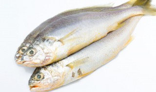 富含dha的食物排名 富含dha的食物排行