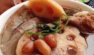 寒露养生吃什么菜（寒露吃什么食物养生）