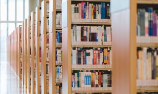 秦青是什么意思 青秦宝是什么意思