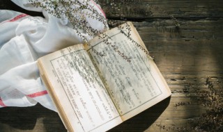 日怪是什么意思（你好日怪什么意思）