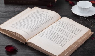 宿卫是什么意思（宿卫臣是什么意思）