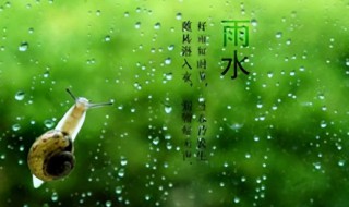 雨水养生保健有什么方法 雨水养生注意什么