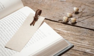 存爱是什么意思 爱永存是什么意思