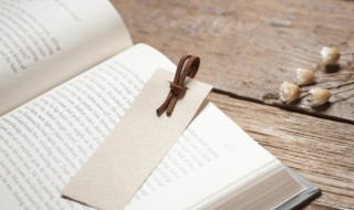 曰能组什么词 旦能组什么词