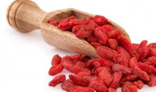 冬季吃什么最补肾 冬季吃什么补肾最快