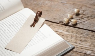 镐头是什么意思（镐头是什么意思和拼音）