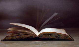 素影是什么意思 清尊素影是什么意思