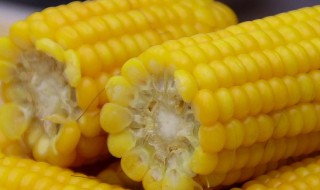 女人吃什么蔬菜去湿（女人吃什么蔬菜去湿气最好）