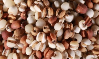 吃什么祛除体内湿气 吃什么祛除体内湿气最好