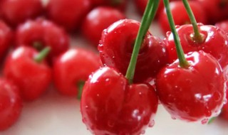 春分养生应该吃什么水果（春分适合吃什么水果）