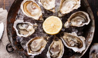 牡蛎的功效与作用是什么（牡蛎的功效与作用是什么?）