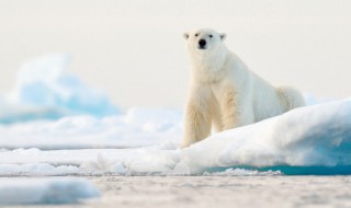 倒春寒需要注意的事项（倒春寒需要注意的事项有哪些）