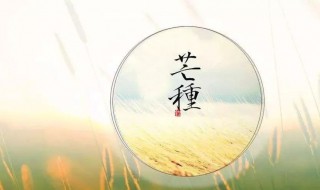 芒种吃什么养生 芒种要吃哪些食物养生