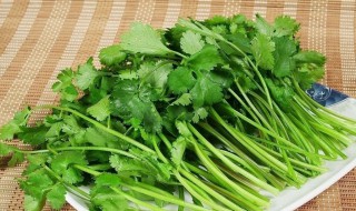 吃什么肾排毒（吃什么肾排毒好）