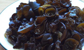 木耳的养殖方法（木耳的养殖方法视频）