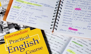 你说的英语主格是什么意思 你主格英文怎么写