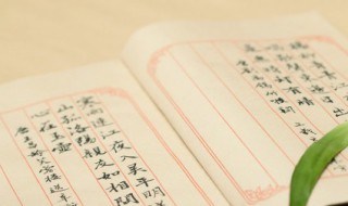 大部分是什么意思 大部分是啥意思