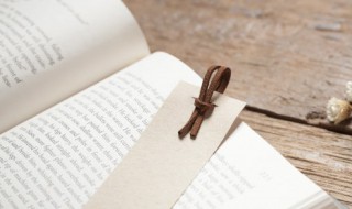 吟啸是什么意思（何妨吟啸且徐行的吟啸是什么意思）