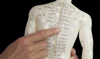 胳膊肘窝是什么穴位 胳膊肘窝是哪个穴位